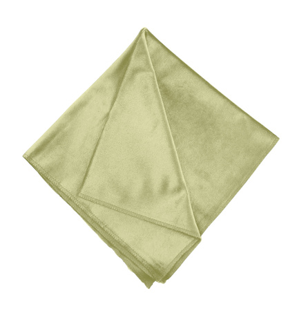 Serwetki SERWETA WELUROWA oliwkowa zieleń 10 sztuk 45x45cm