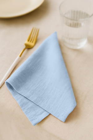 Serwetki SERWETA MUŚLINOWA chłodny niebieski 10 sztuk 45x45cm